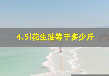 4.5l花生油等于多少斤