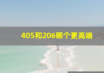 405和206哪个更高端