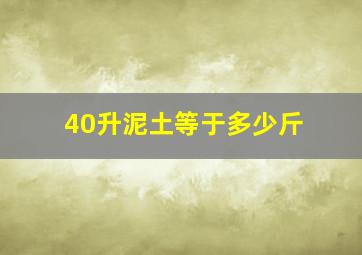 40升泥土等于多少斤