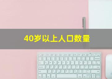 40岁以上人口数量