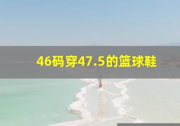 46码穿47.5的篮球鞋