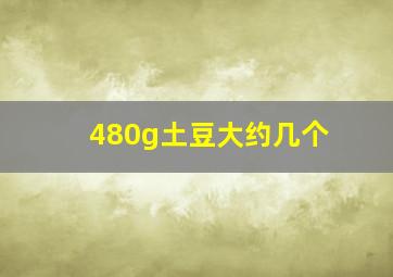 480g土豆大约几个