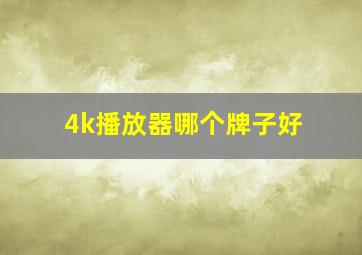 4k播放器哪个牌子好