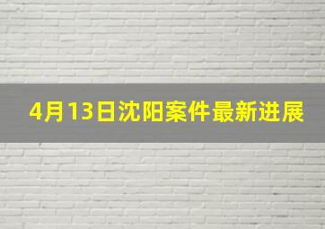 4月13日沈阳案件最新进展