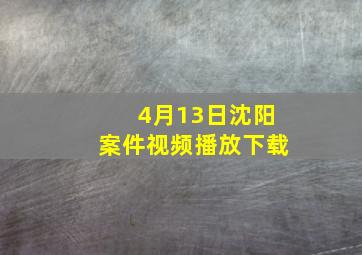 4月13日沈阳案件视频播放下载