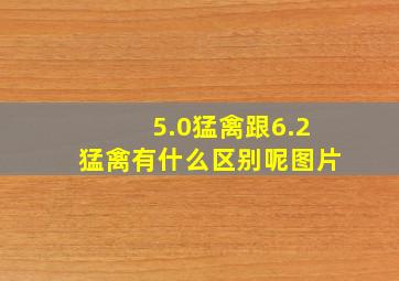 5.0猛禽跟6.2猛禽有什么区别呢图片