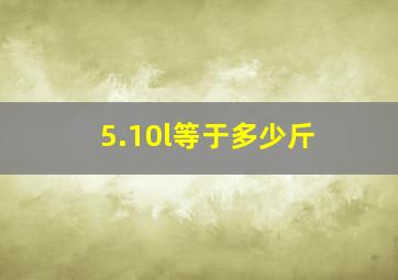 5.10l等于多少斤