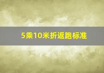 5乘10米折返跑标准