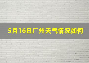 5月16日广州天气情况如何