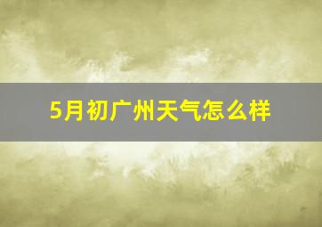 5月初广州天气怎么样