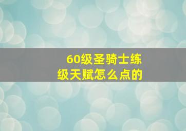 60级圣骑士练级天赋怎么点的