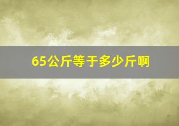 65公斤等于多少斤啊