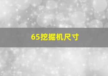 65挖掘机尺寸