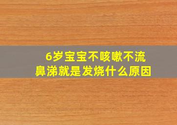 6岁宝宝不咳嗽不流鼻涕就是发烧什么原因