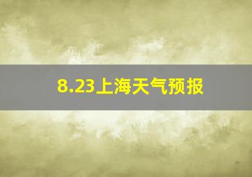 8.23上海天气预报