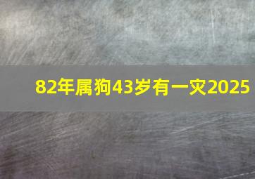 82年属狗43岁有一灾2025