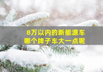 8万以内的新能源车哪个牌子车大一点呢