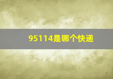 95114是哪个快递