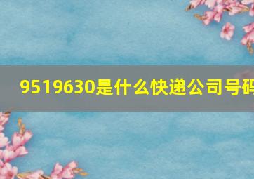 9519630是什么快递公司号码