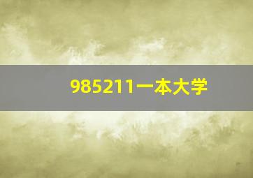 985211一本大学