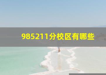 985211分校区有哪些