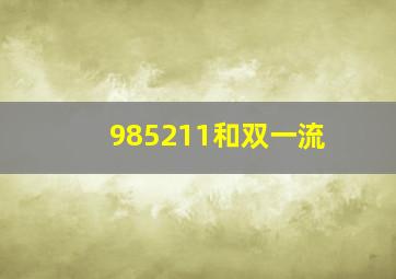 985211和双一流