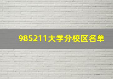 985211大学分校区名单