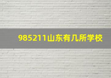 985211山东有几所学校