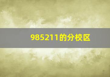 985211的分校区