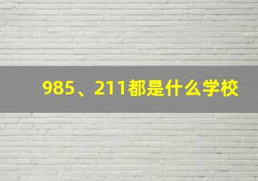 985、211都是什么学校