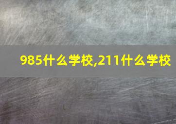 985什么学校,211什么学校