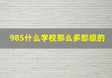 985什么学校那么多部级的