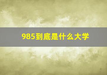 985到底是什么大学