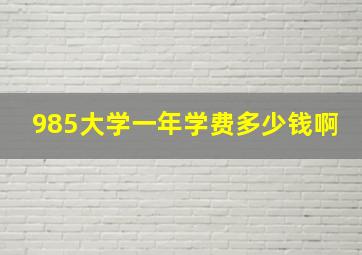 985大学一年学费多少钱啊