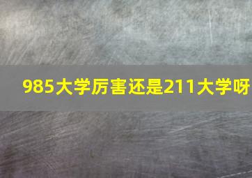 985大学厉害还是211大学呀