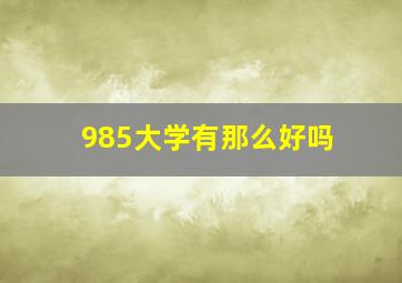 985大学有那么好吗