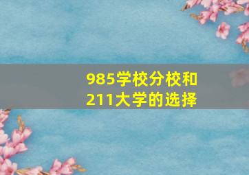 985学校分校和211大学的选择