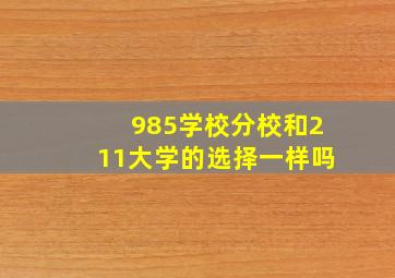 985学校分校和211大学的选择一样吗