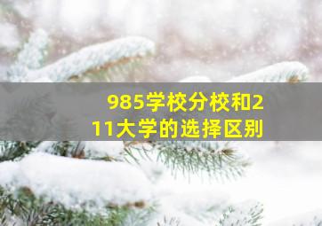 985学校分校和211大学的选择区别