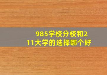 985学校分校和211大学的选择哪个好