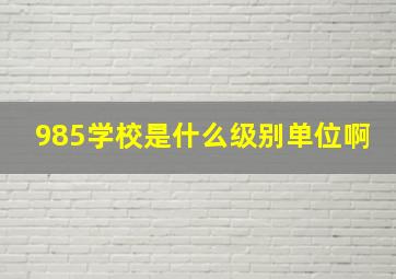 985学校是什么级别单位啊