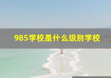 985学校是什么级别学校