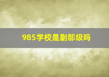 985学校是副部级吗