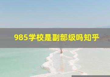 985学校是副部级吗知乎