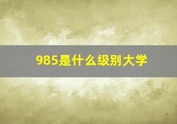 985是什么级别大学