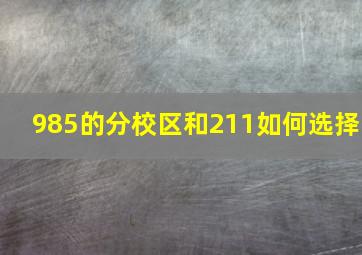 985的分校区和211如何选择