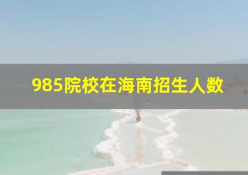 985院校在海南招生人数