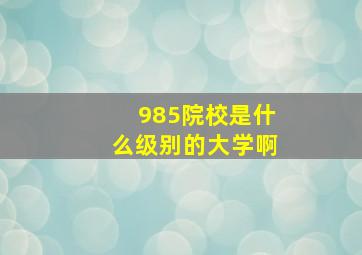 985院校是什么级别的大学啊