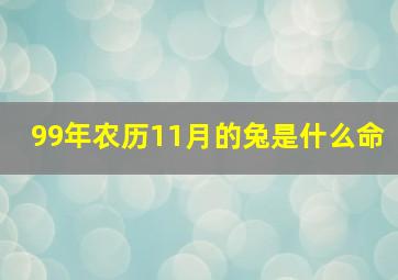 99年农历11月的兔是什么命