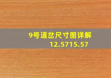 9号道岔尺寸图详解12.5715.57